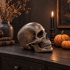 Wooden skull sculpture profile view showing teeth and nasal cavity detail
