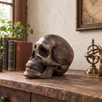 Wooden skull sculpture side profile with anatomical carving detail