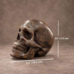 Wooden skull sculpture with size measurement showing 4.9 x 6.5 inches