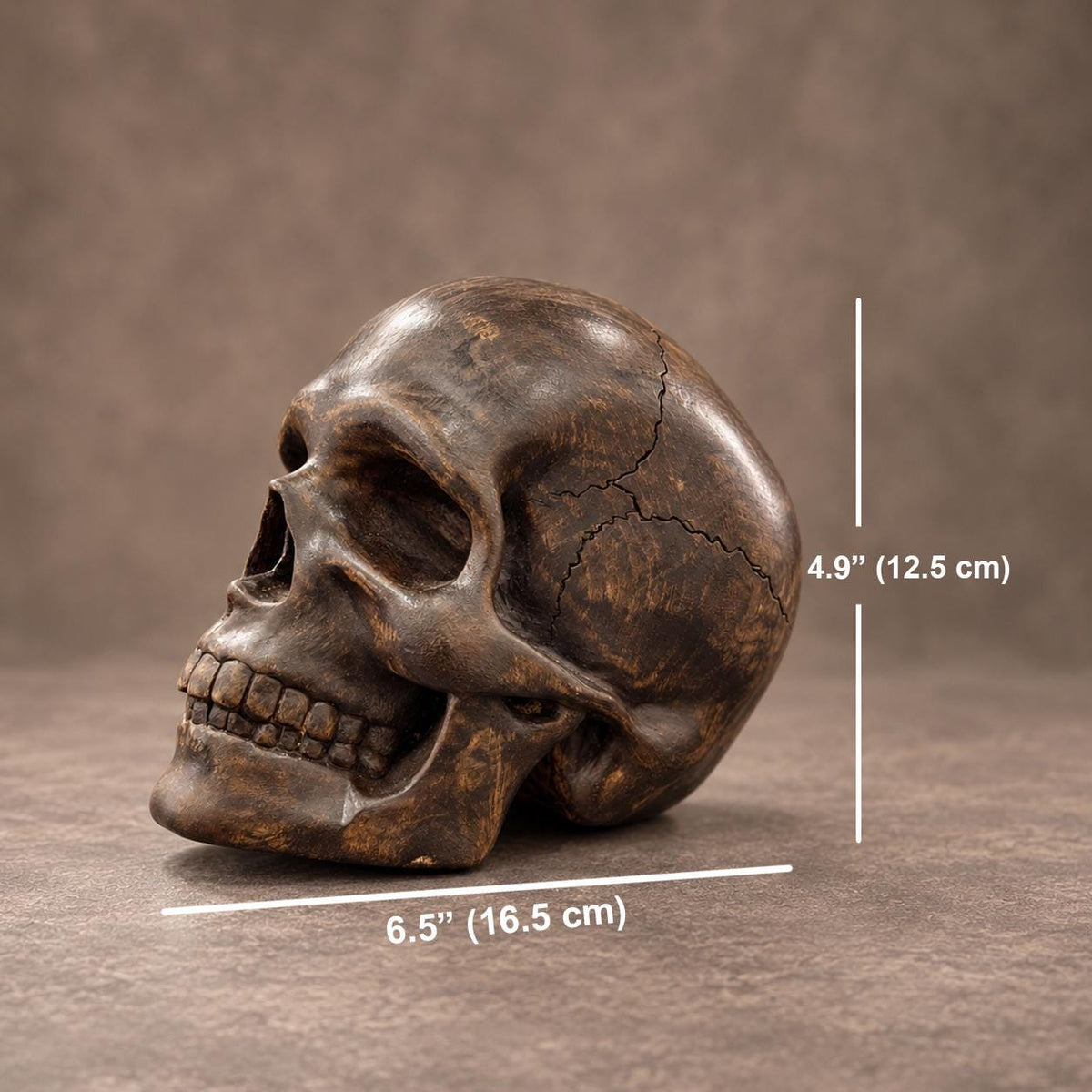 Wooden skull sculpture with size measurement showing 4.9 x 6.5 inches